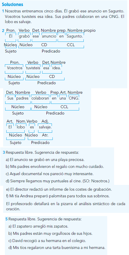6º LENGUA CORRECCION 10-06